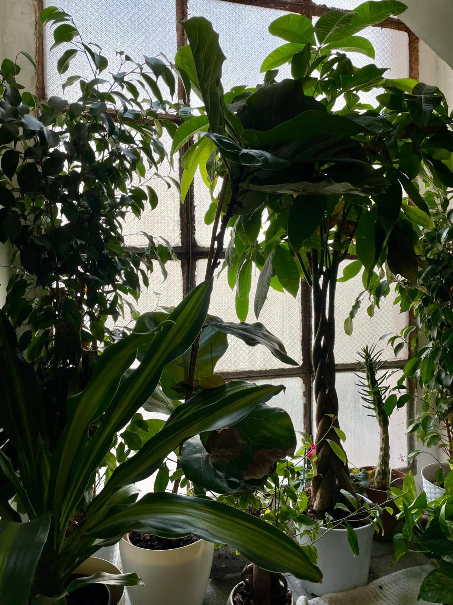Lorenzo'S House Catania City Centre - Comfortable Large Apartment With 2 Bedrooms And 2 Baths, Close To Trains, Metro And Bus Station Εξωτερικό φωτογραφία