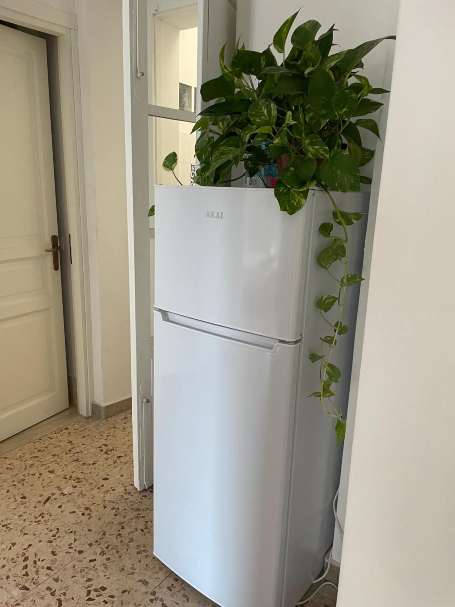 Lorenzo'S House Catania City Centre - Comfortable Large Apartment With 2 Bedrooms And 2 Baths, Close To Trains, Metro And Bus Station Εξωτερικό φωτογραφία